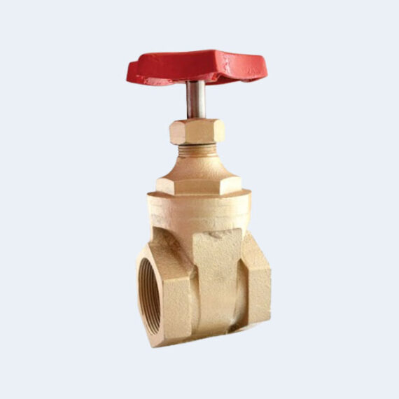 6 Pehlu Gate Valve