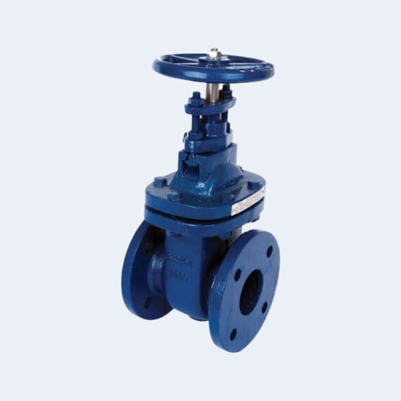 Gate Valve Bright HE