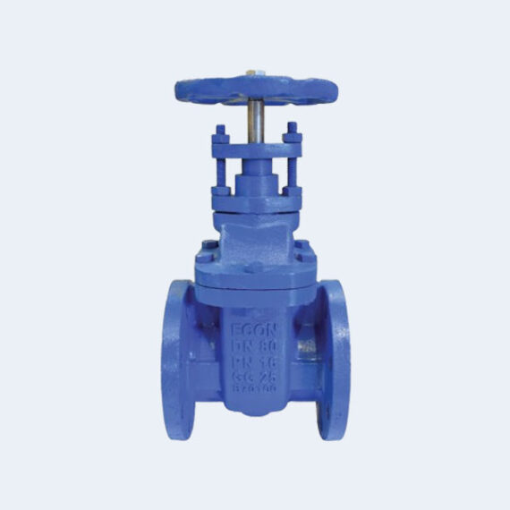 Gate Valve ECON